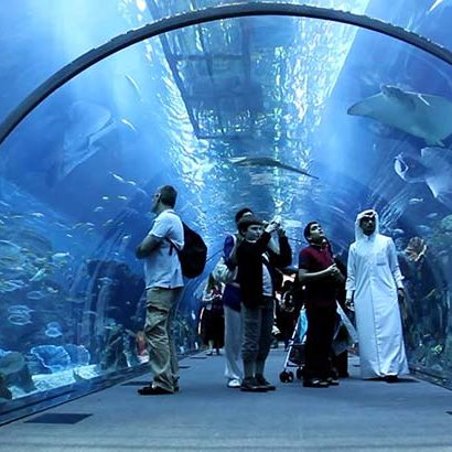 Dubai Aquarium & Underwater Zoo -1