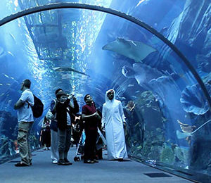 Dubai Aquarium & Underwater Zoo -21
