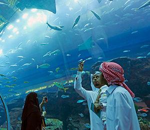 Dubai Aquarium & Underwater Zoo5