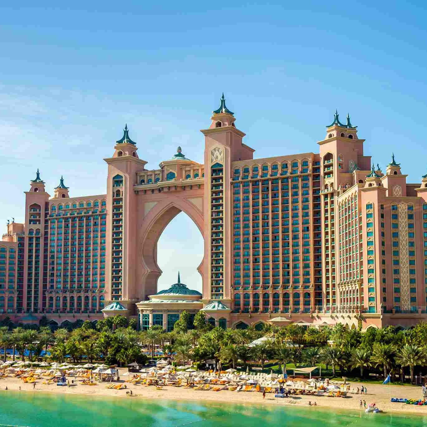 The palm